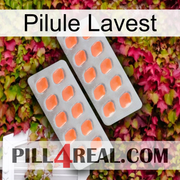 Lavest Pill 27